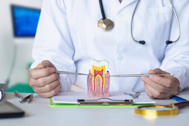 Best Dental Abscess Treatment in Monona, WI